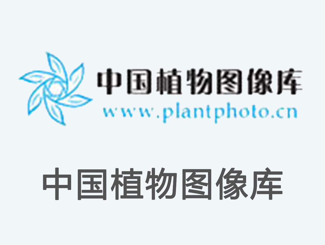 中国植物图像库
